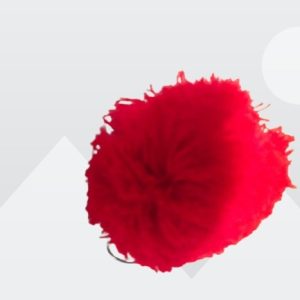 Pom Pom